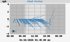 Wind Vector